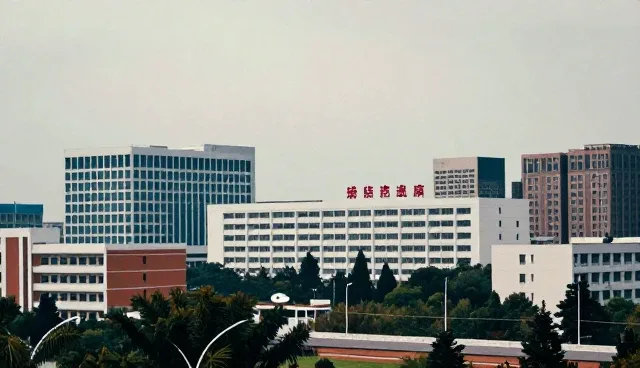 如何优化企业信息查询服务的用户体验