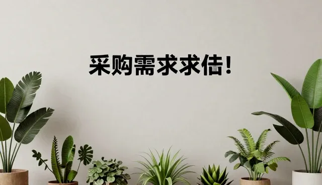 创业者采购供应中的展示问题及应对策略